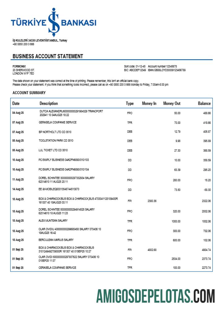 Em branco Turco Bankasi Enterprise Statement modelo Word e PDF